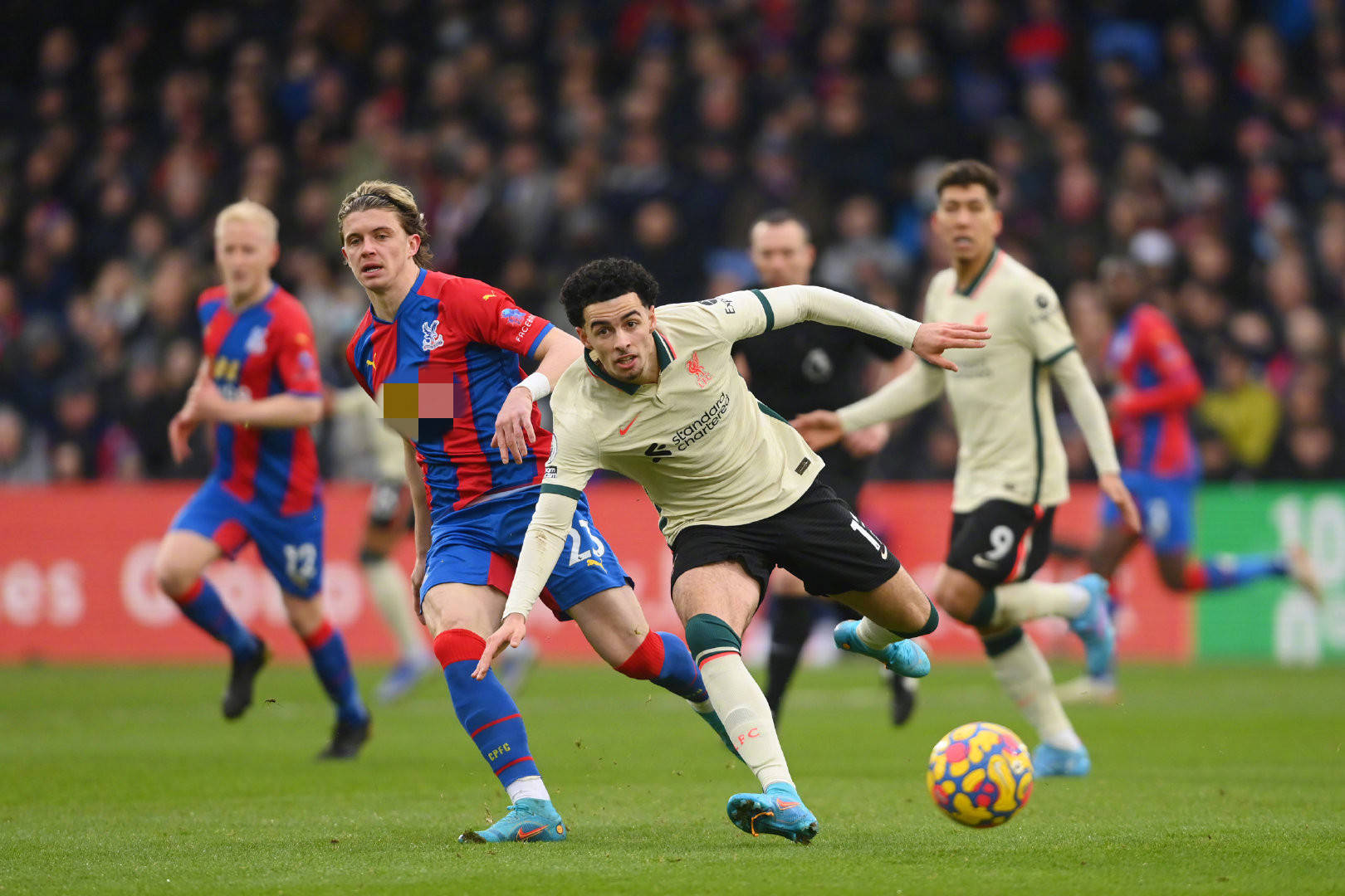 一个人的孤 一个人的孤